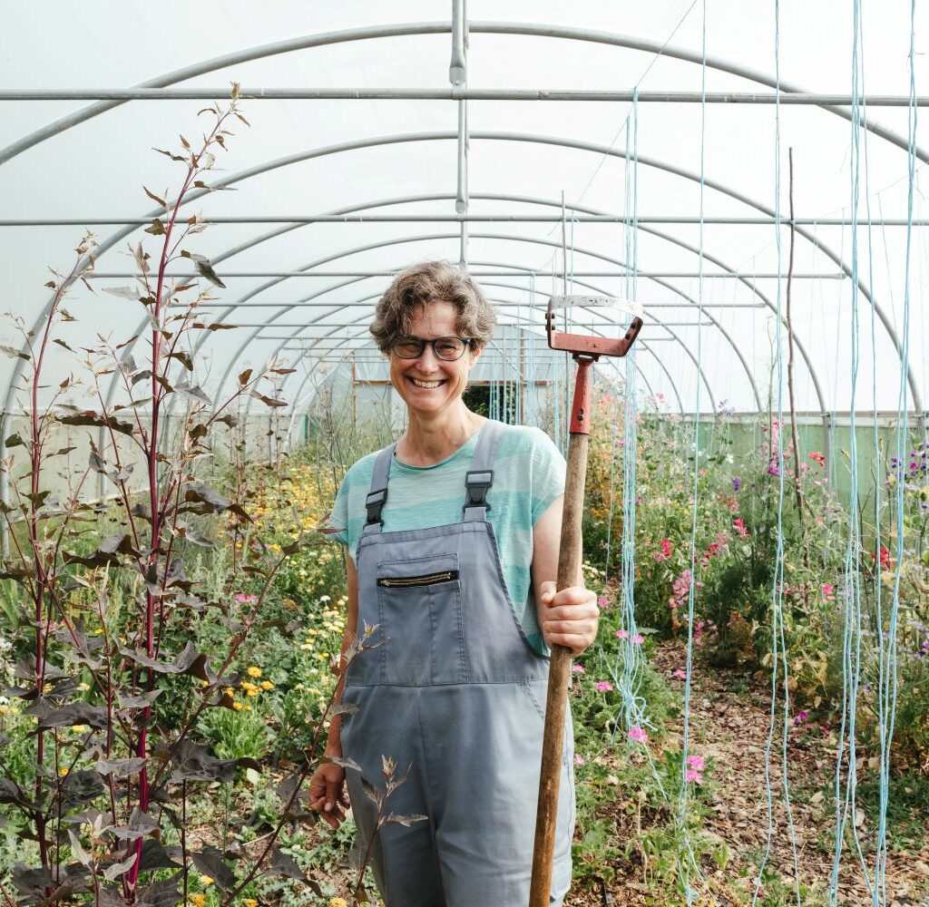 Strawberry Hill House Flower Festival 2024: A year in the life of a No-Dig Flower Grower - Image