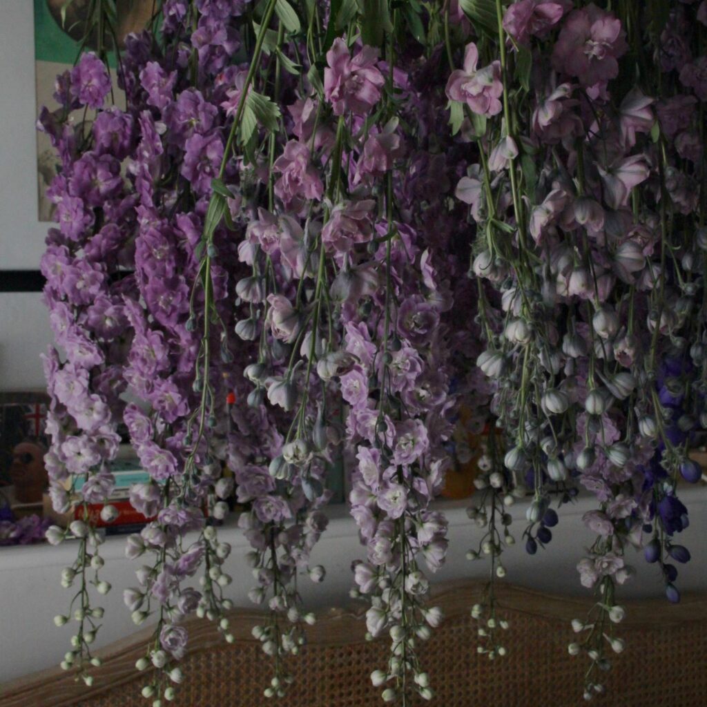 Strawberry Hill House Flower Festival 2024 Workshop: The Art of Drying Perennial Flowers - Image